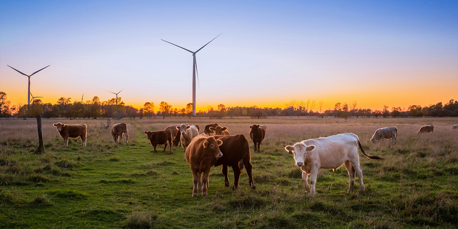 金沙城js9线路检测中心(中国)9999js金沙老品牌有限公司