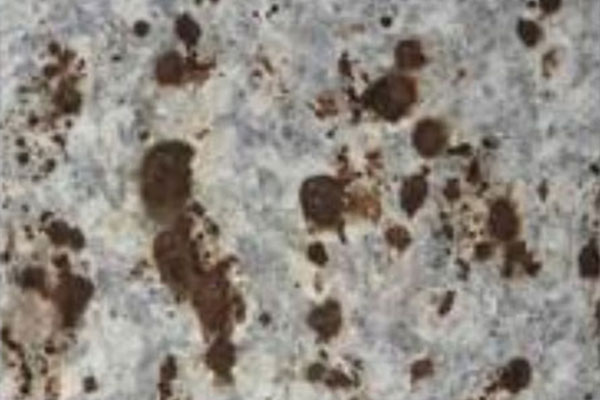 金沙城js9线路检测中心(中国)9999js金沙老品牌有限公司