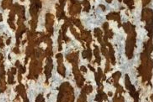 金沙城js9线路检测中心(中国)9999js金沙老品牌有限公司