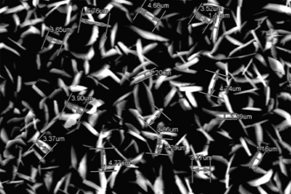 金沙城js9线路检测中心(中国)9999js金沙老品牌有限公司