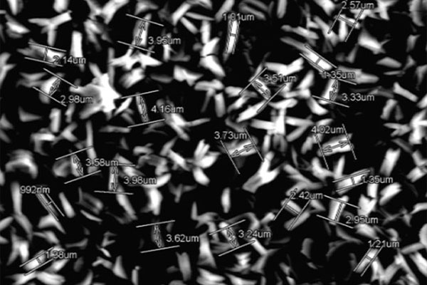 金沙城js9线路检测中心(中国)9999js金沙老品牌有限公司